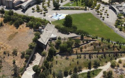 Servicio de Mantención de Áreas Verdes