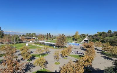 Servicio de Producción de Fiesta de la Primavera y Apertura Bienal de Cultura Científica en Museo Interactivo Mirador (MIM)