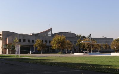 Servicio de Seguridad y Vigilancia